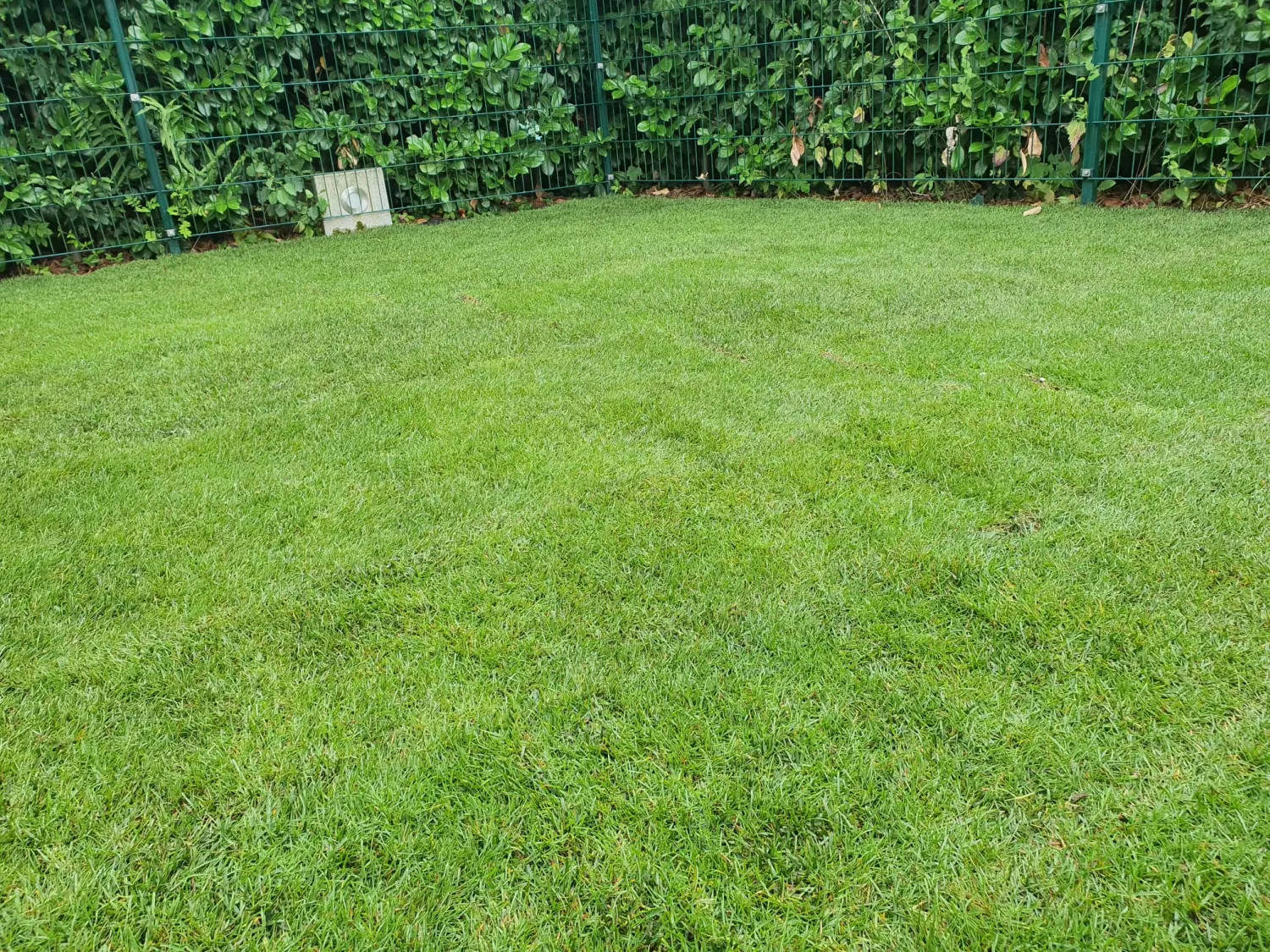 OKY A.T.L.- garten
